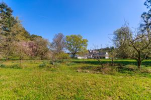 Photo 23- click for photo gallery